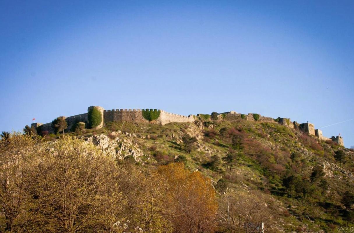 Castle View Willa